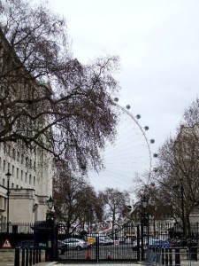 183263_1732321552031_1358280312_32109216_1966904_n